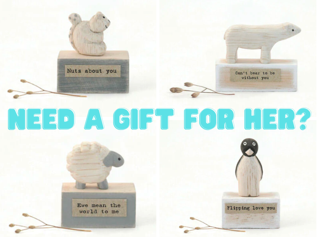 Bear novelty hot sale gifts