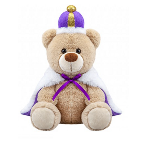 King Charles Coronation Bear