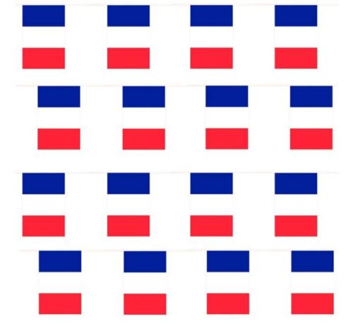 10m France French Flag Bunting Flags World Cup Euros Football 2022 Rugby Banner