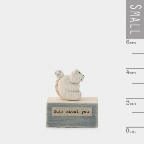 Squirrel Nuts About You