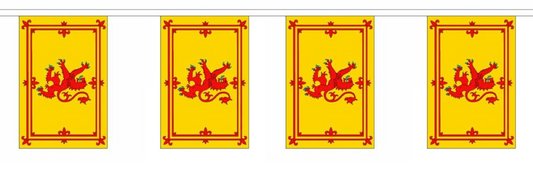 10m Scotland Scottish Rampant Lion Flag Bunting Flags Football Rugby Banner