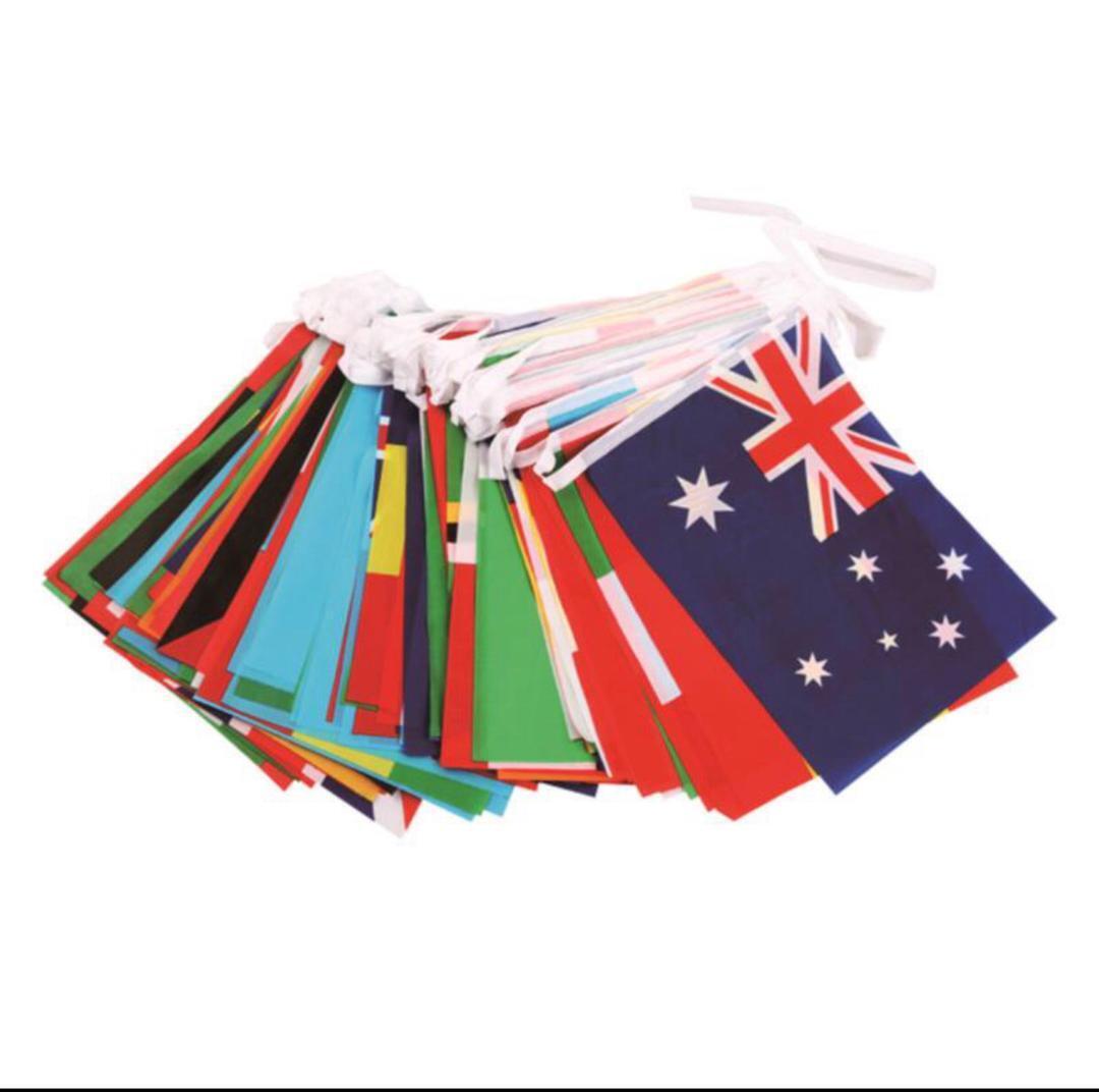 10m World Cup Football Fabric Bunting Team Flags Street Party Banner 2022 NEW