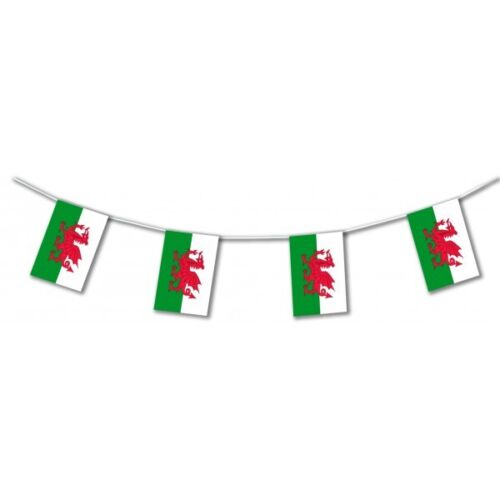 10m Wales Welsh Dragon Flag Bunting Flags World Cup Football 2022 Rugby Banner